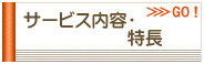 SSLサーバー・ホスティング・レンタルサーバー